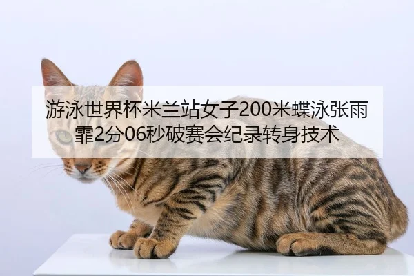 you-yong-shi-jie-bei-mi-lan-zhan-nv-zi-mi-die-yong-zhang-yu-fei-fen-miao-po-sai-hui-ji-lu-zhuan-shen-ji-shu-2-803.jpg