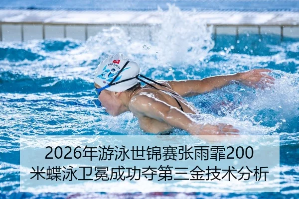 nian-you-yong-shi-jin-sai-zhang-yu-fei-mi-die-yong-wei-mian-cheng-gong-duo-di-san-jin-ji-shu-fen-xi-3-386.jpg
